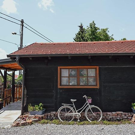 Studio Apartment Romeo Velika Gorica Zewnętrze zdjęcie